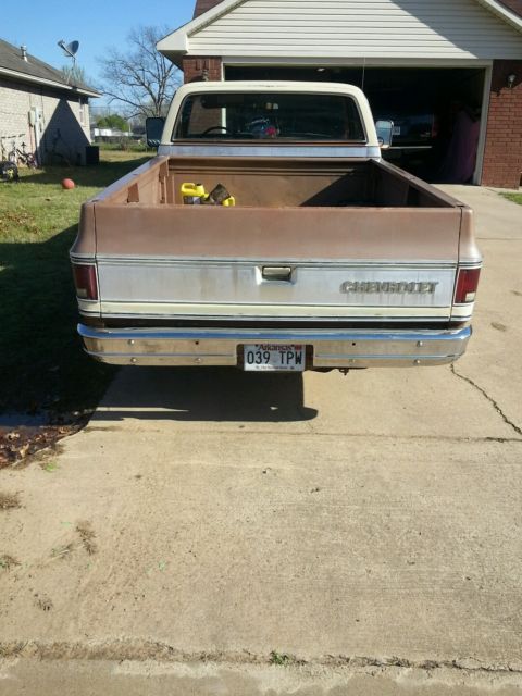 1979 Chevrolet C-10 Standard Cab Pickup