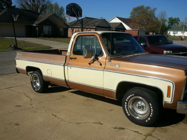 1979 Chevrolet C-10 Standard Cab Pickup
