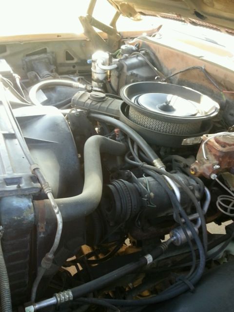 1979 Chevrolet C-10 Standard Cab Pickup