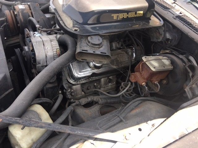 1979 Black Pontiac Trans Am