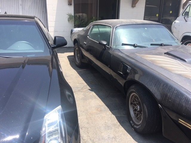1979 Black Pontiac Trans Am