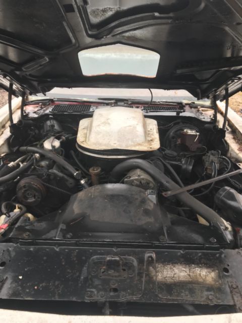 1979 White Pontiac Trans Am Coupe