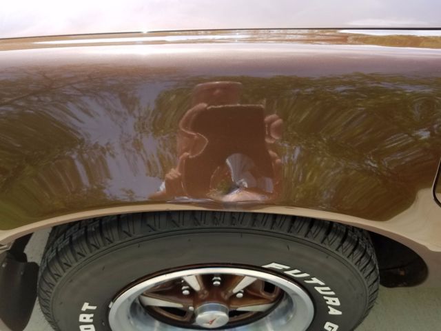 1979 Brown Pontiac Trans Am Coupe