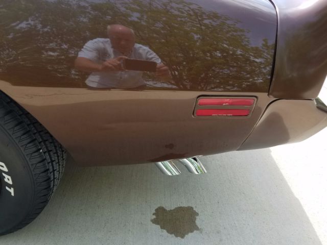 1979 Brown Pontiac Trans Am Coupe