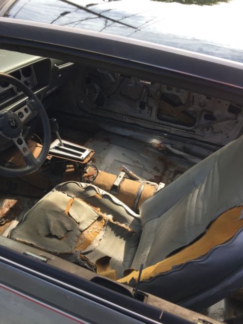 1979 Silver Pontiac Trans Am Coupe