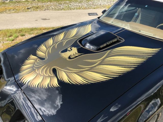 1979 Black Pontiac Trans Am Coupe