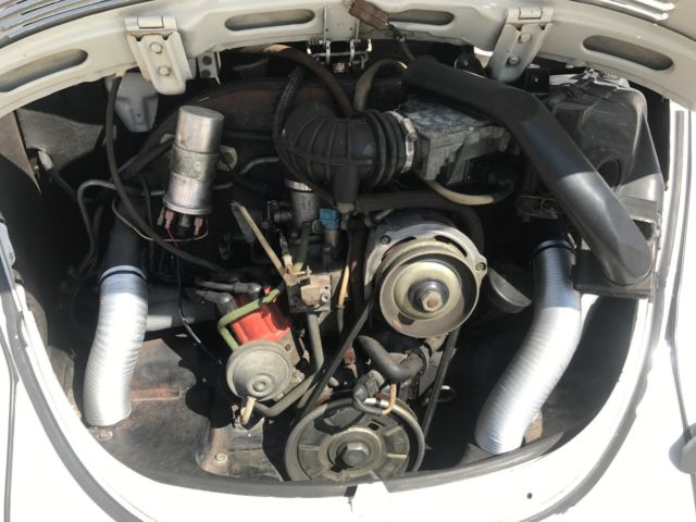 1979 White Volkswagen Beetle - Classic Coupe