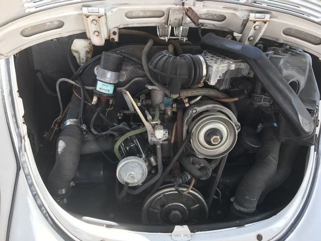 1979 White Volkswagen Beetle - Classic Convertible