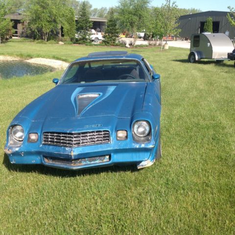 1979 Brown Chevrolet Camaro Coupe