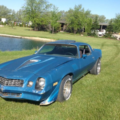 1979 Brown Chevrolet Camaro Coupe