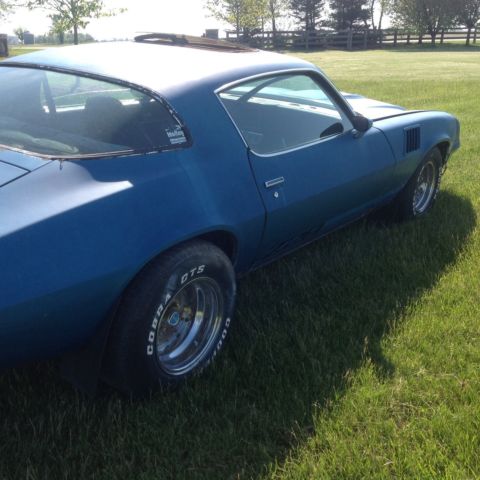 1979 Brown Chevrolet Camaro Coupe