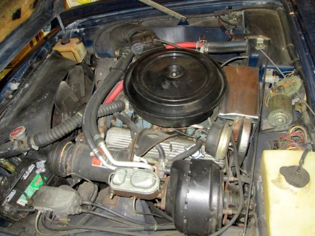 1980 Blue Studebaker Avanti Coupe