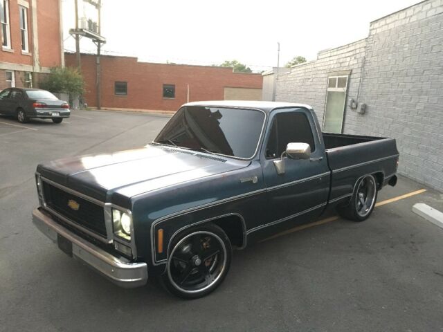 1980 Blue Chevrolet Other Pickups