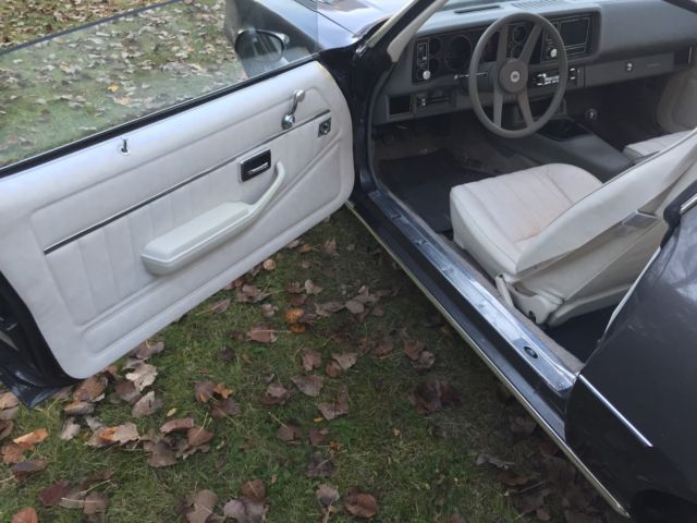 1980 Gray Chevrolet Camaro