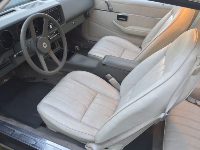 1980 Gray Chevrolet Camaro