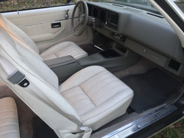 1980 Gray Chevrolet Camaro