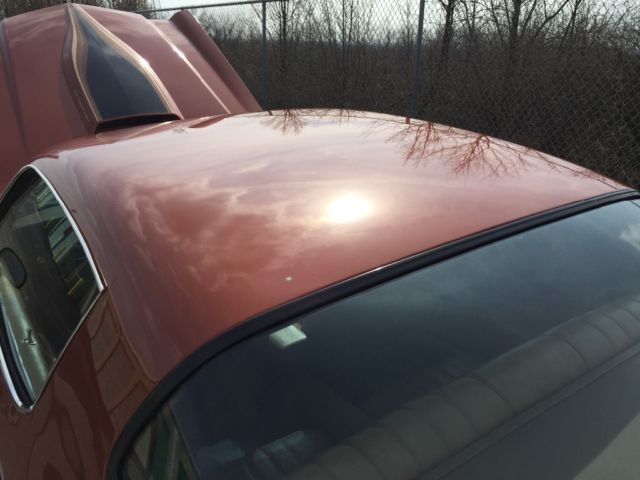 1980 Orange Chevrolet Camaro Coupe