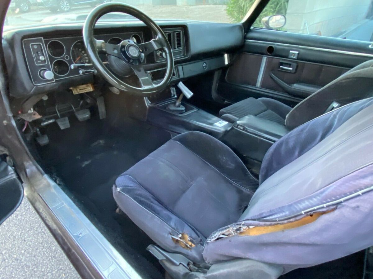 1980 Brown Chevrolet Camaro Coupe