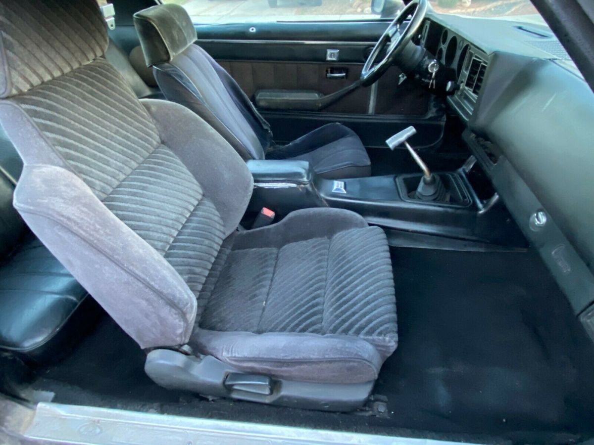 1980 Brown Chevrolet Camaro Coupe