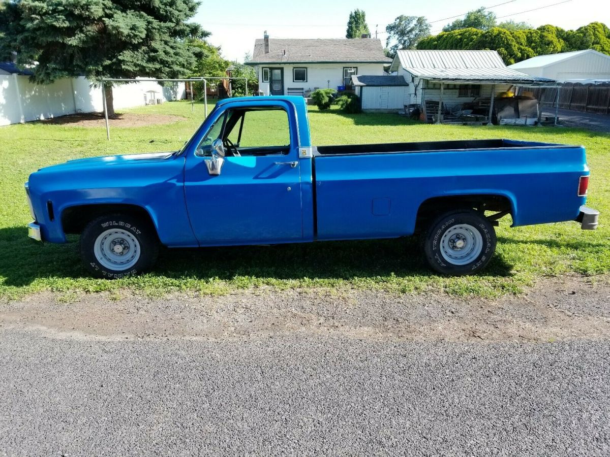 1980 Chevrolet C-10
