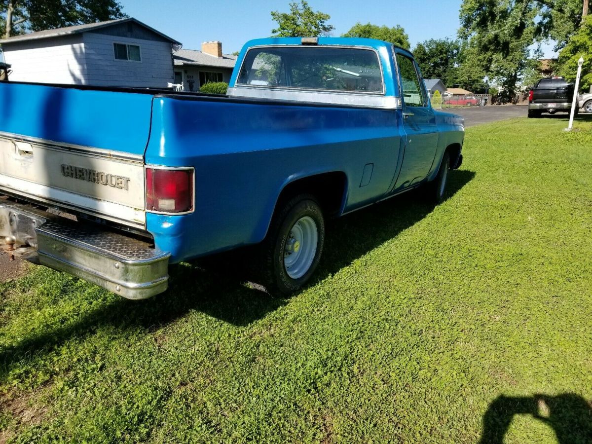 1980 Chevrolet C-10