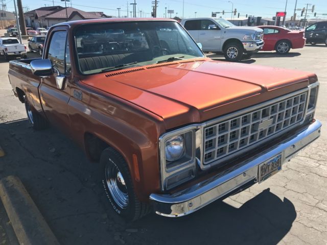 1980 Orange Chevrolet Other Pickups Standard Cab Pickup