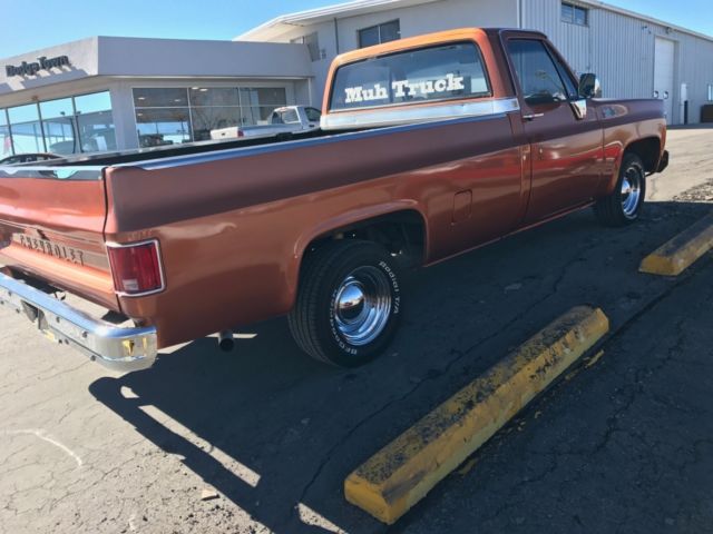 1980 Orange Chevrolet Other Pickups Standard Cab Pickup