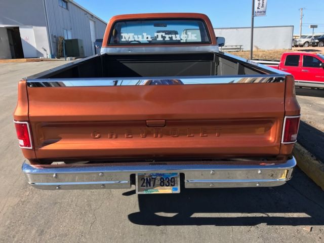 1980 Orange Chevrolet Other Pickups Standard Cab Pickup