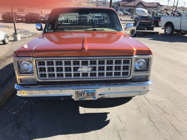 1980 Orange Chevrolet Other Pickups Standard Cab Pickup