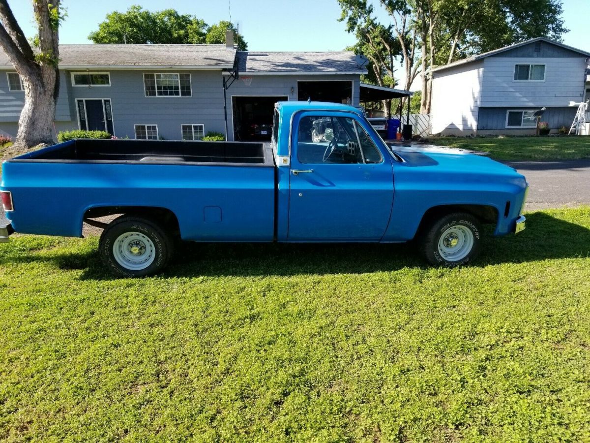1980 Chevrolet C-10