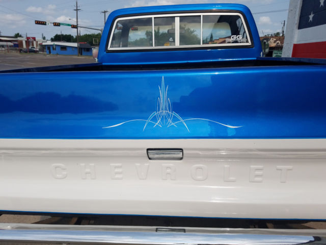 1980 Blue Chevrolet C-10 Standard Cab Pickup
