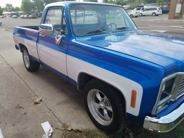 1980 Blue Chevrolet C-10 Standard Cab Pickup