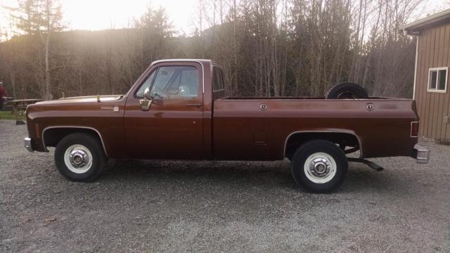 1980 Chevrolet C-10
