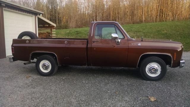1980 Chevrolet C-10