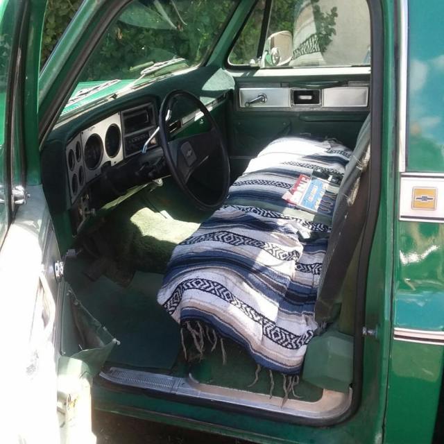 1980 Green Chevrolet C-10