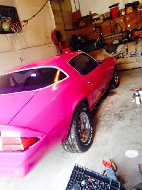 1980 Pink Chevrolet Camaro Coupe