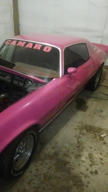 1980 Pink Chevrolet Camaro Coupe