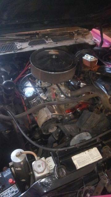 1980 Pink Chevrolet Camaro Coupe