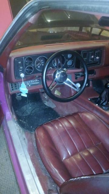 1980 Pink Chevrolet Camaro Coupe