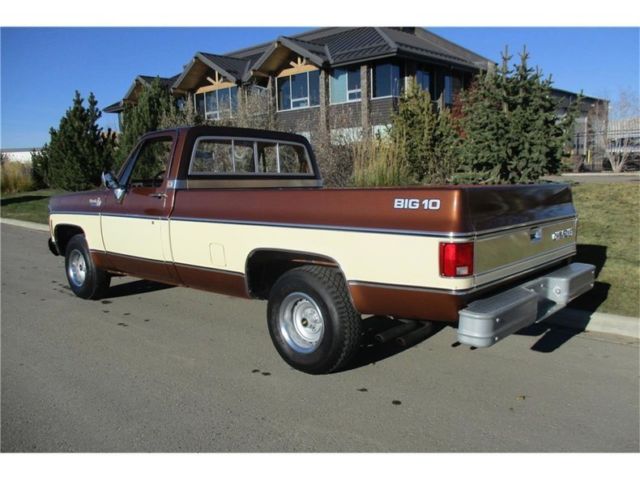 1980 Brown Chevrolet C-10 --
