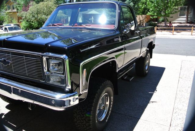 1980 Black Chevrolet C/K Pickup 1500 Standard Cab Pickup