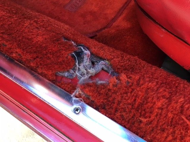 1980 Red Chevrolet Corvette Fastback