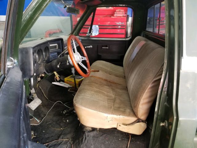 1980 Green Chevrolet C/K Pickup 2500 Standard Cab Pickup