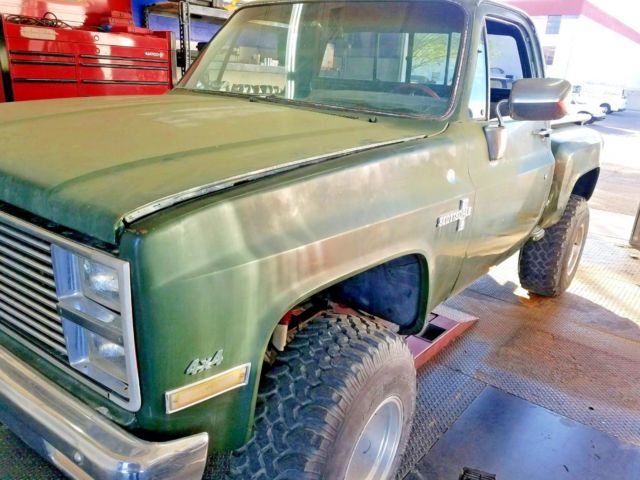 1980 Green Chevrolet C/K Pickup 2500 Standard Cab Pickup