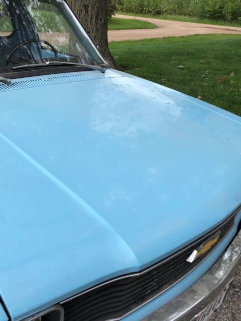 1980 Blue Chevrolet Other Pickups