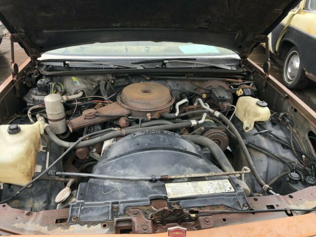 1980 Gold Chevrolet Malibu Coupe