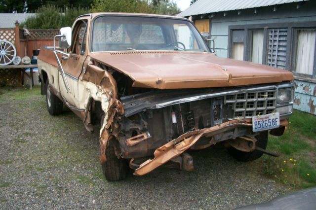 1980 Chevrolet Other Pickups