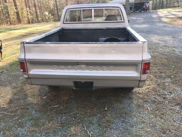 1980 Gray Chevrolet C-10 Standard Cab Pickup