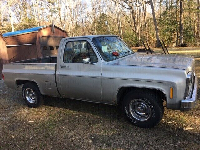 1980 Gray Chevrolet C-10 Standard Cab Pickup