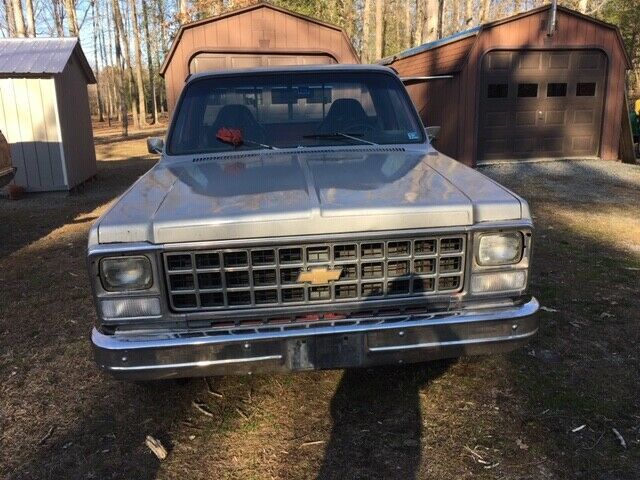 1980 Gray Chevrolet C-10 Standard Cab Pickup